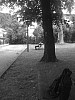 IMG_0060