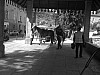 IMG_0073